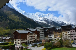 Appt 4 /5 pers - 3 min. centre ville Chamonix-Mont-Blanc